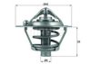 VOLVO 31339958 Thermostat, coolant